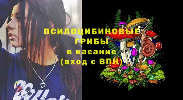PSILOCYBIN Арсеньев
