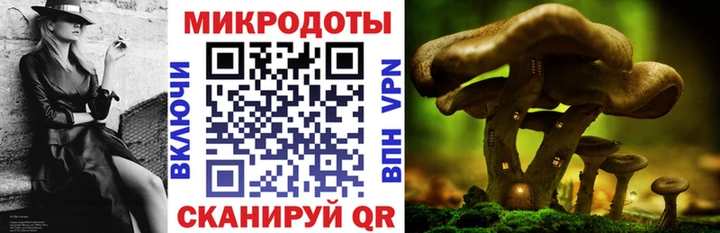 Галлюциногенные грибы ЛСД  hydra вход  Никольск 